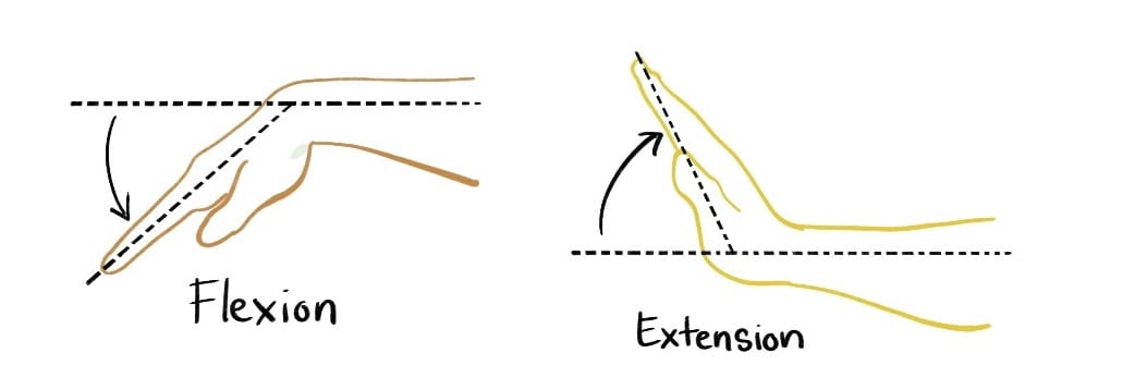 Two illustrations, one of flexion: the hand bent downward fingers pointed at the ground, and one of extension, the hand pointed up.